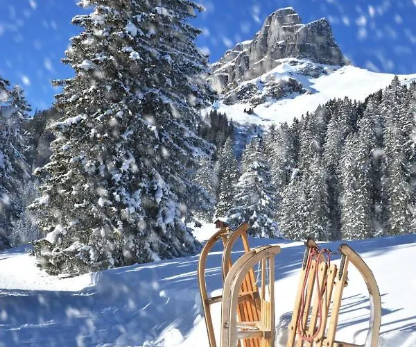 Parkareal 504 By Interhome * 达沃斯